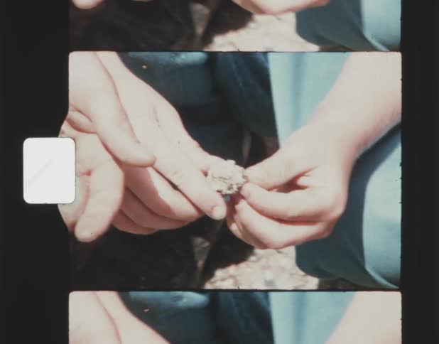 A person is outdoors and picking up rocks