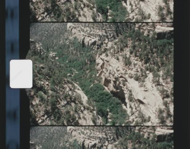 Trees grow in the valley of a canyon below a cliff