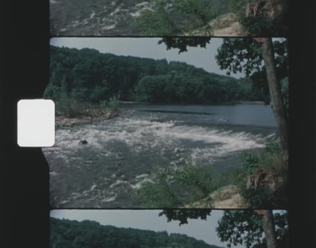 A child is walking by a river during spring time