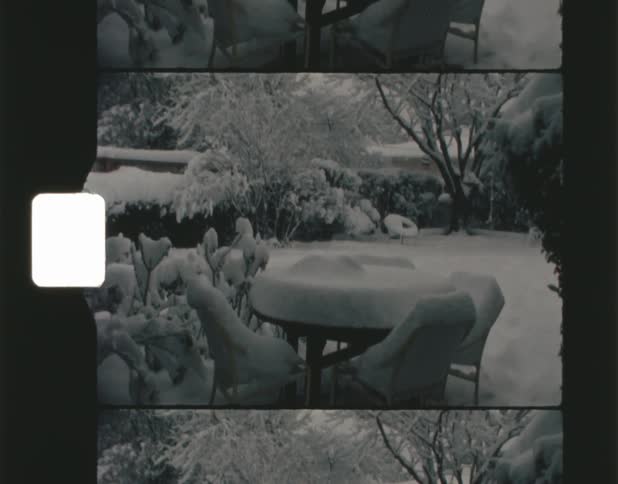 Snow covered tables and chairs in the backyard