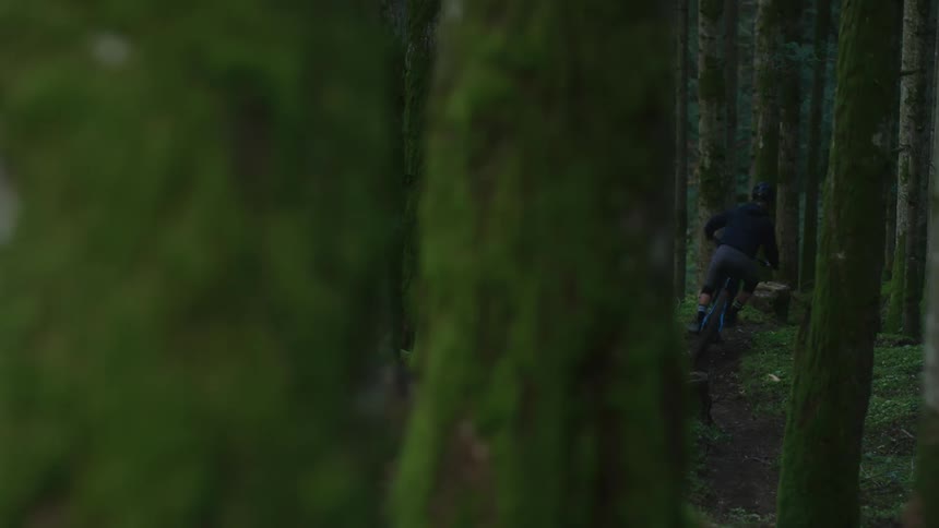 A person rides their bike through the woods