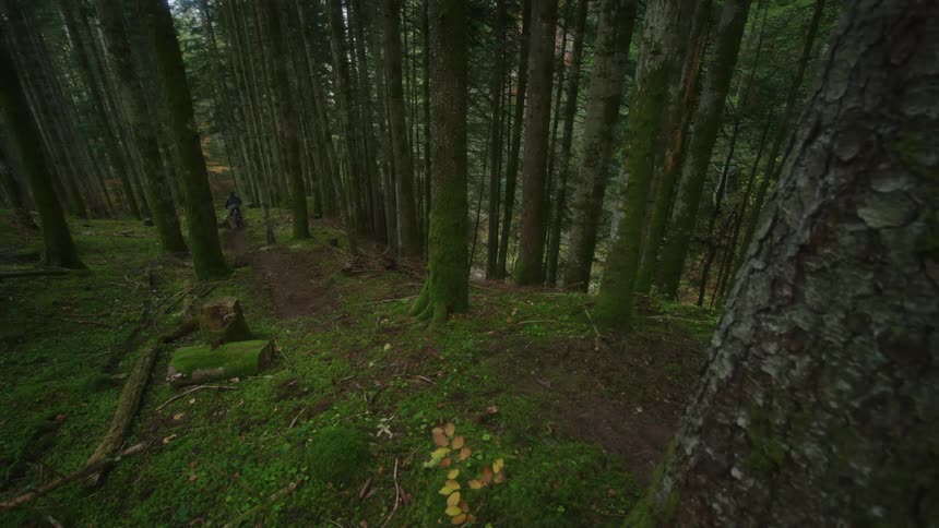 Man cycles along dirt track fast in the woods