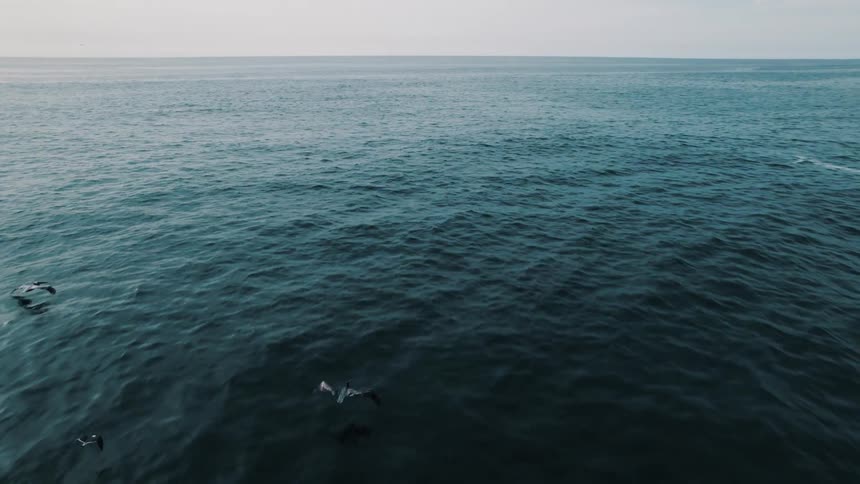 An aerial view of the ocean with waves