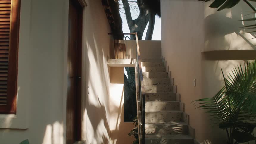 Stairs of a building and houseplants