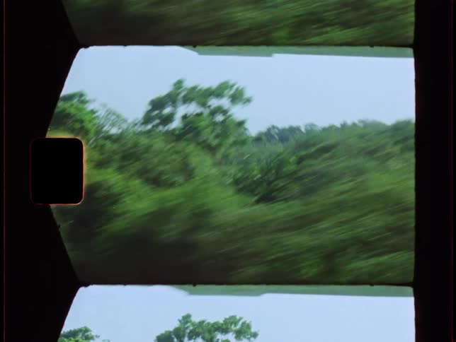A plane is landing by the forest