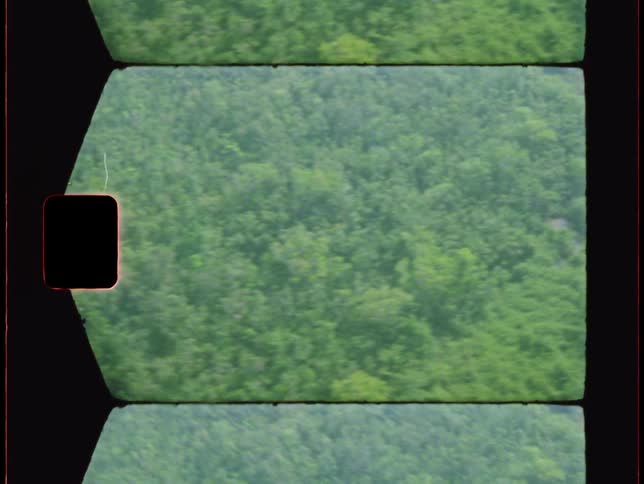 An aerial of a dense forest filled with green trees