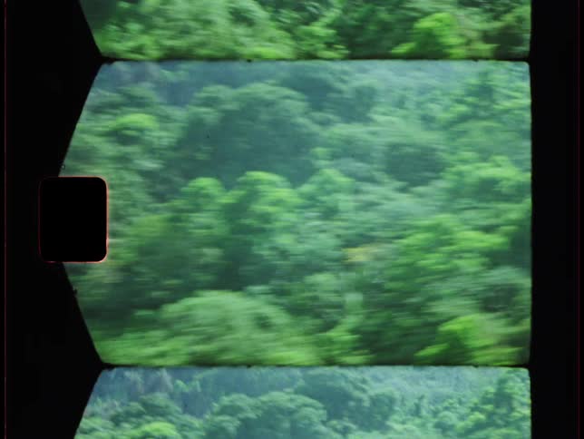 An aerial of dense forests covering the landscape