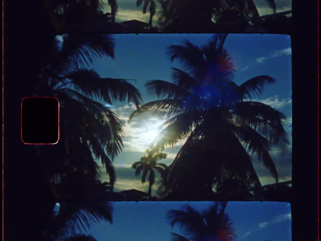 Sun shines through clouds on to buildings surrounded by palm trees on windy day