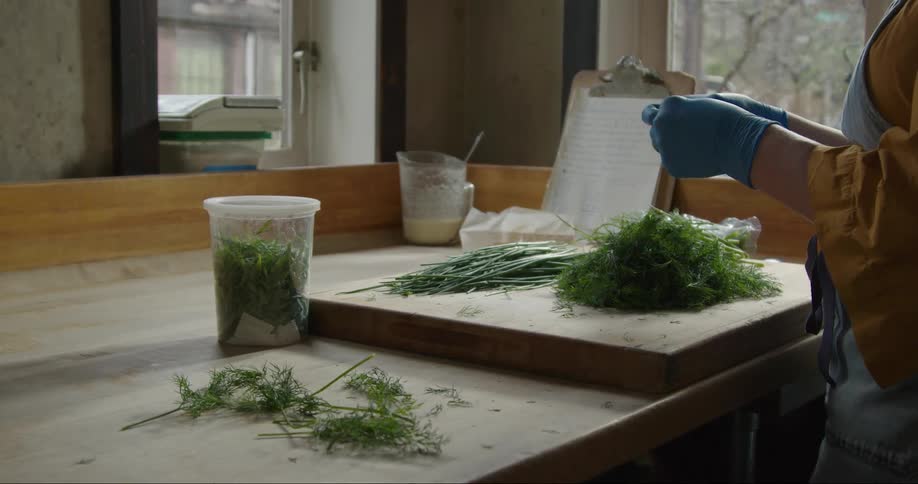 A close up of a woman wearing gloves standing at her counter pulling apart plants on her cutting board