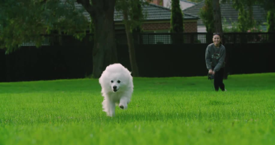 A woman lets her dog run through the grass