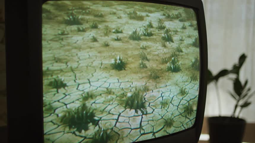 Television sitting near potted plant shows arid scene