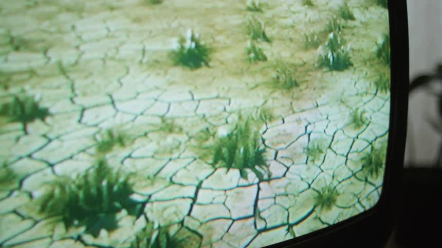 Looking at a television plants are growing on dry cracked ground