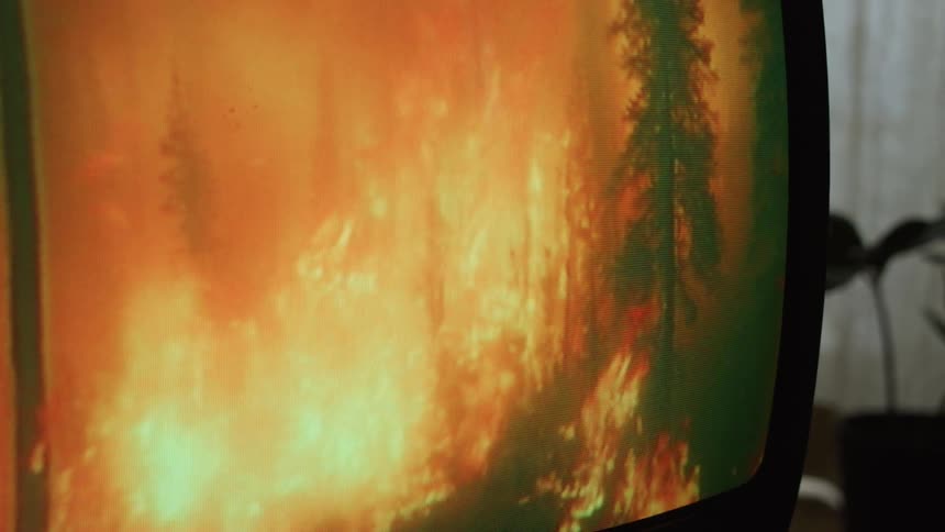 Close up of television screen showing forest fire in room