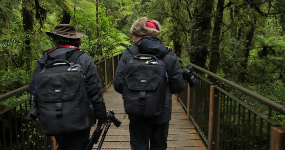 Photographers walking along a wooden bridge in the forest