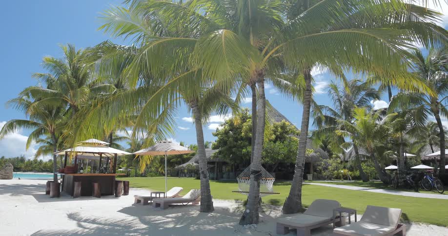 A resort is lined with palm trees