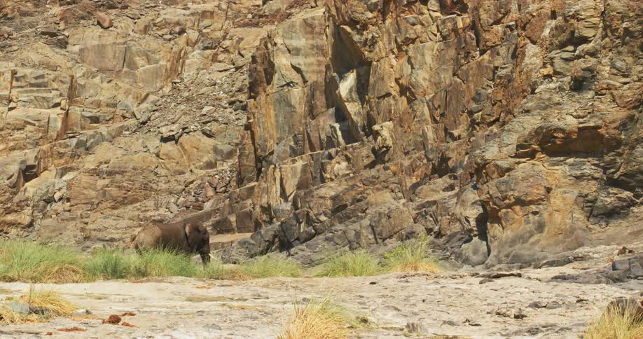 Desert-adapted elephant sprays itself with water using its trunk at base of cliff
