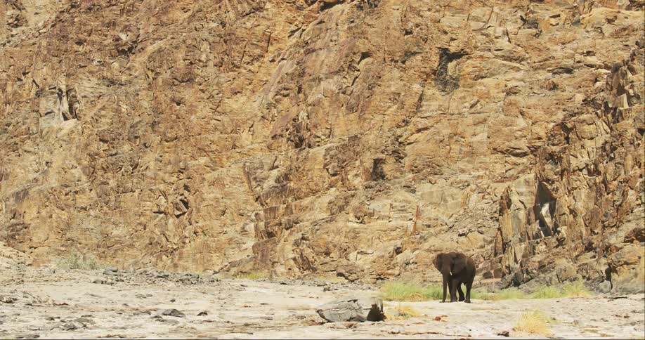 A desert-adapted elephant gracefully walking in front of a solitary rocky hill exuding a sense of solitude and tranquility