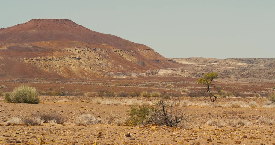 A desert mountain landscape with few vegetative plants and small trees