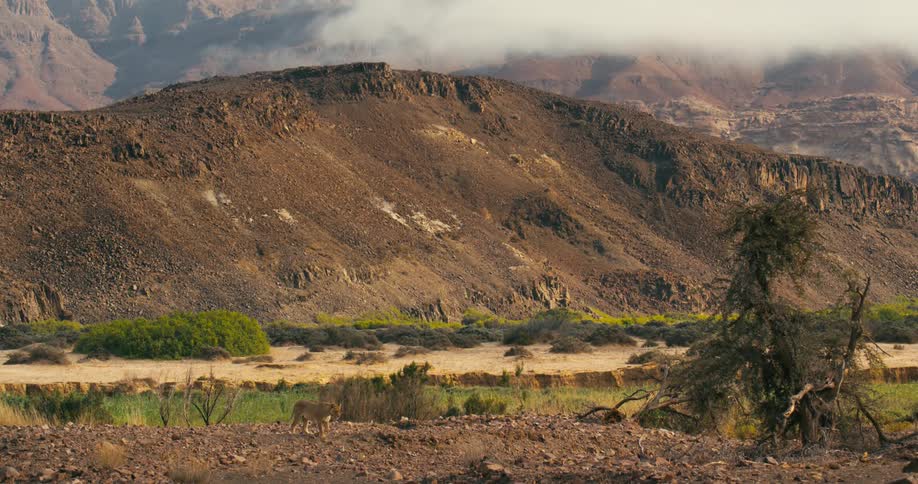 Dirt covers the side of a tall mesa in a canyon