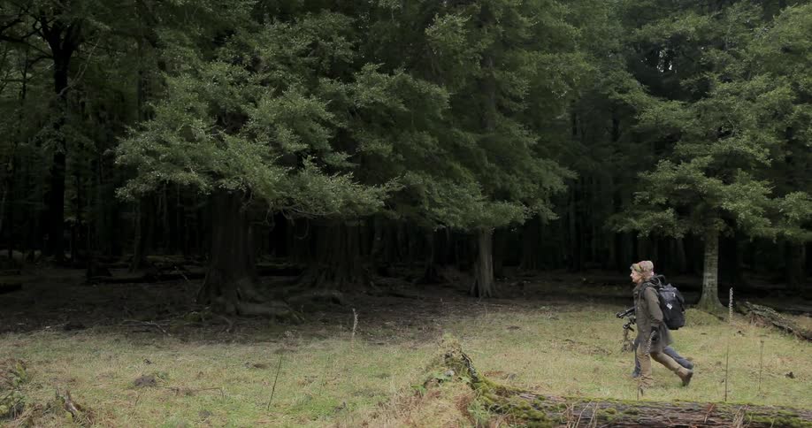 Two people hike along a field near a forest