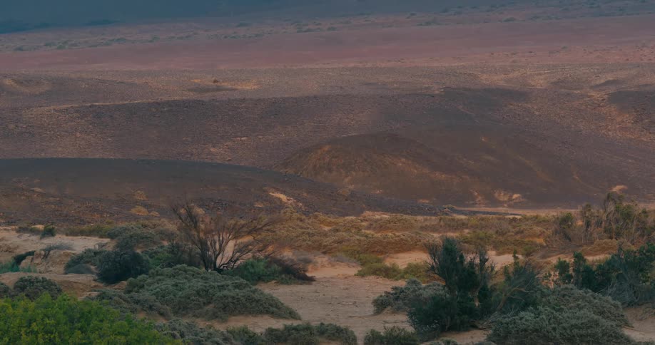 A still image of a sage brush desert with rolling hills in the background
