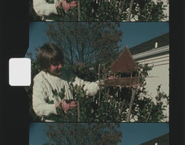 A son looking in a bird house