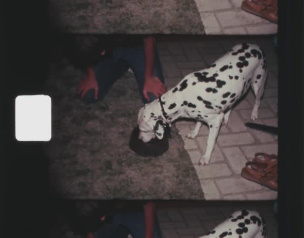 A dalmatian standing while eating out of a bowl next to a person kneeling on the floor