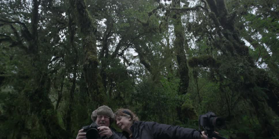 Two photographers with their equipment in the forest