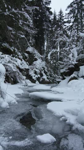 A view of a frozen river in the winter