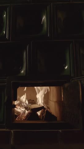 A fire burning in a wood burning stove