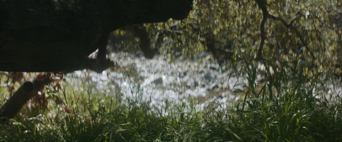 A stream flowing near green grass on a sunny summer day