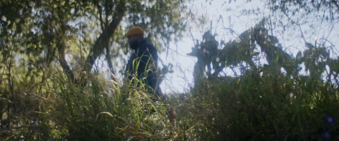 A view of a man walking out in a forest