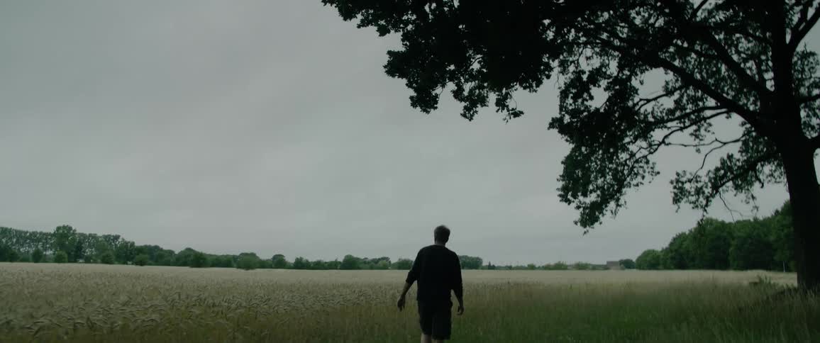 The backside of a man as he walks through a grassy field near a tall tree