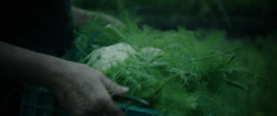A gardener carrying a crate of vegetation outside in summer