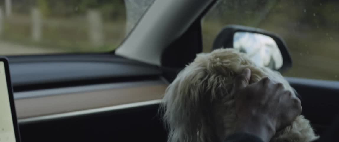 In a car where there is a hairy dog the driver while still driving is seen touching the dog in a playful way
