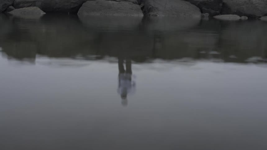 Reflection of a person standing near a lake