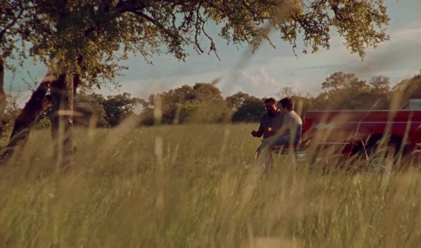 The sun shines on a rural field as tall grass and weeds move in the breeze and two people are talking at the back of a red pickup truck