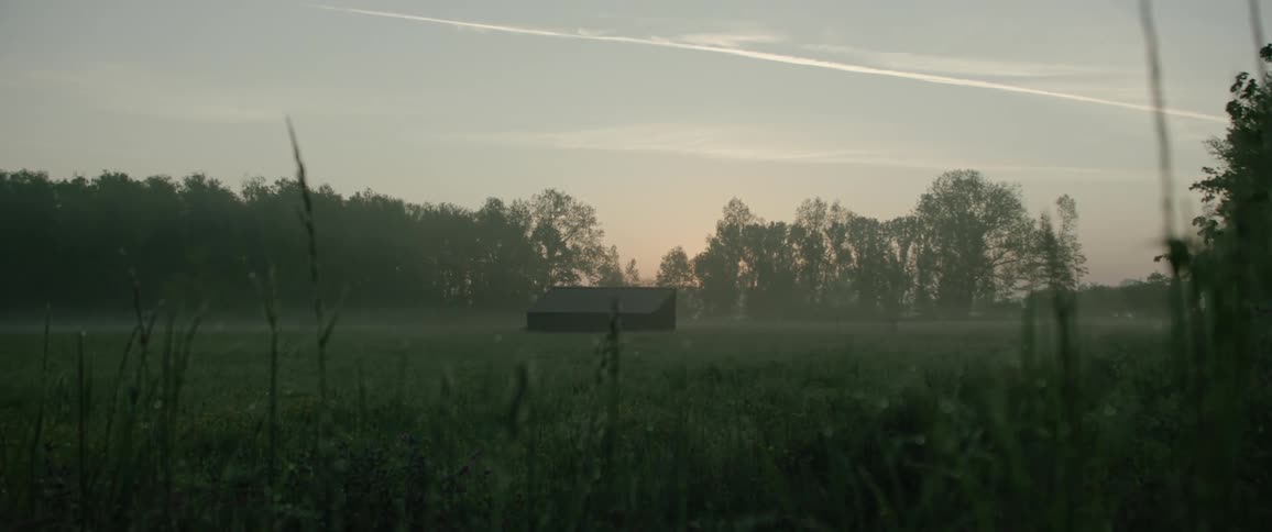 A wornout barnlike structure sits alone in a grassy meadow between nearby trees