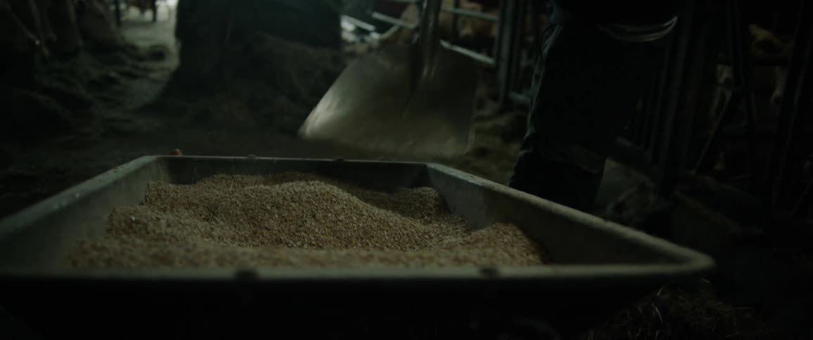 A man is using a shovel to pack grains from a large iron box and putting them on the ground
