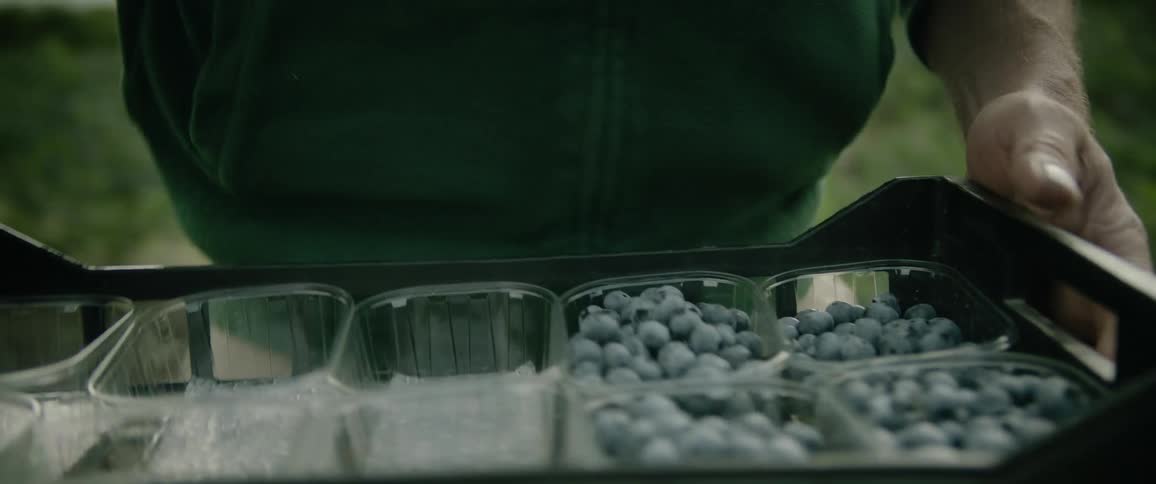 Close up of a farmer carrying a small tray filled with recently harvested berries