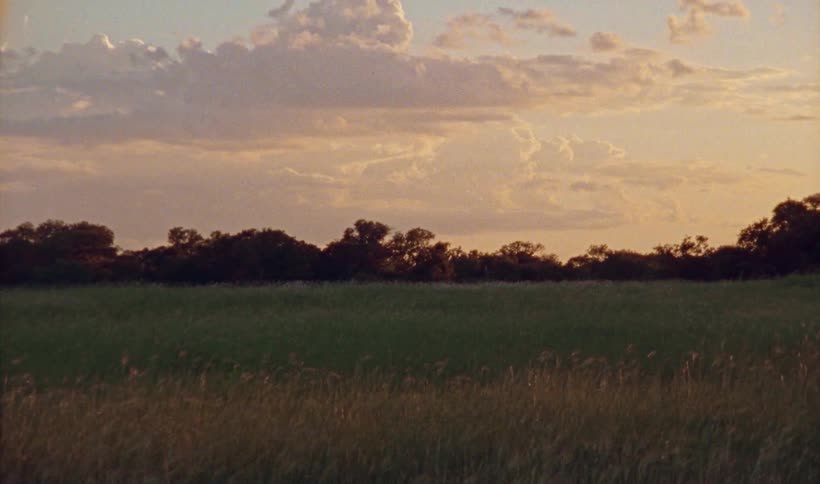 Wide view of open field of grass plains midwestern landscape at dusk