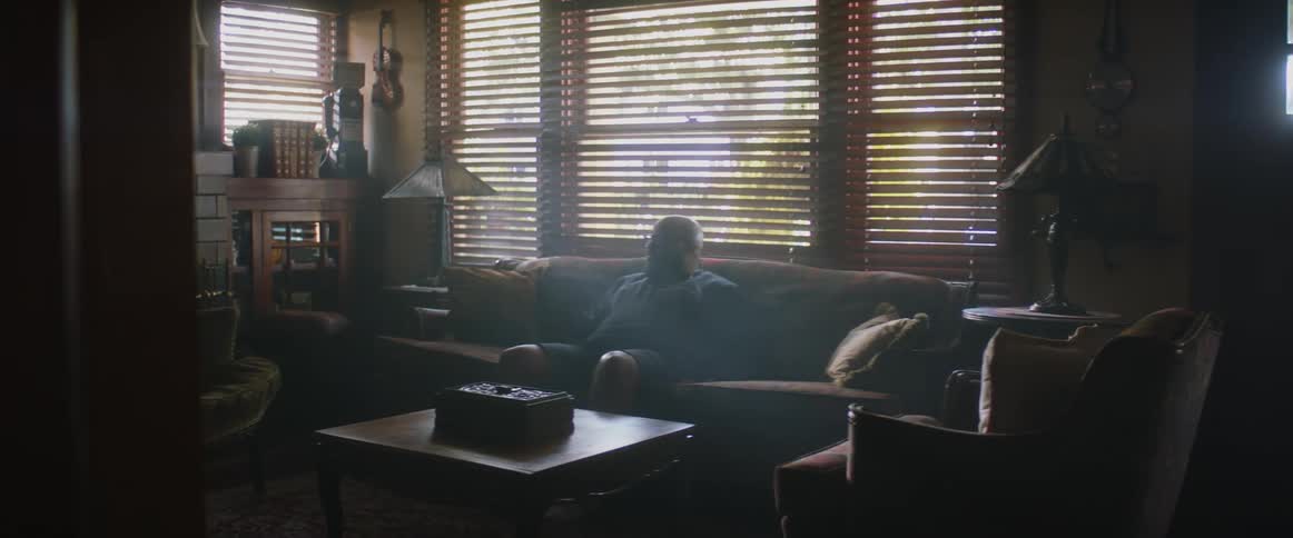 A man is reclining on a couch in a room with light creeping in through the partly closed blinds until he lazily lifts his head