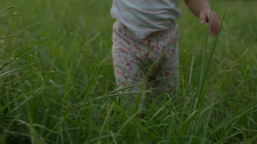 The child is walking through the grass