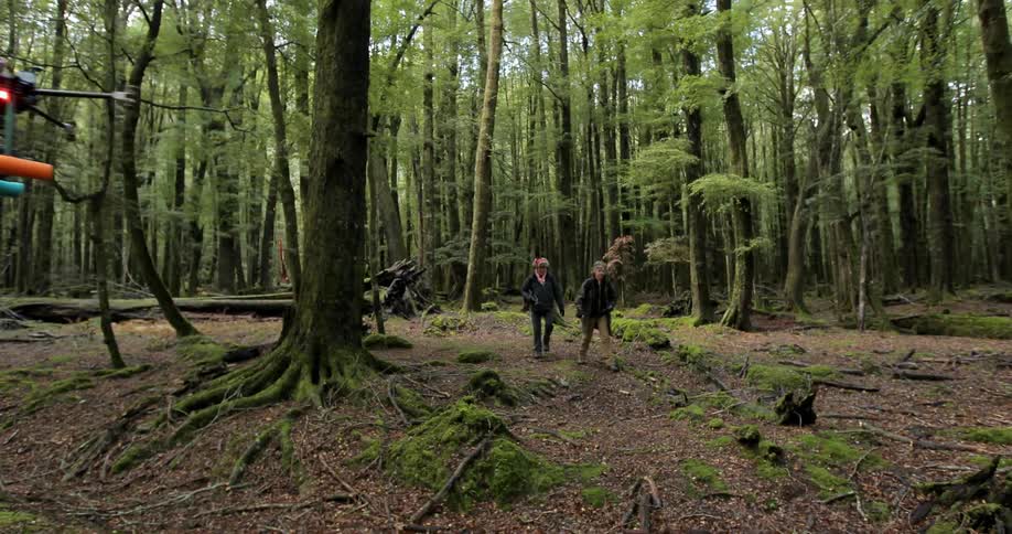 A drone flies in front of two people hiking in the woods