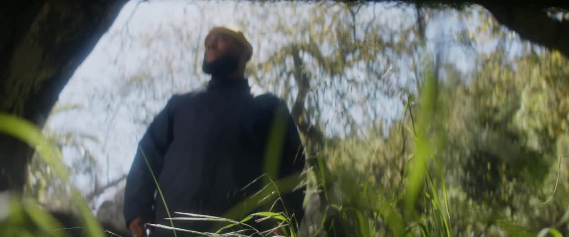 Man stands in windy clearing on sunny day