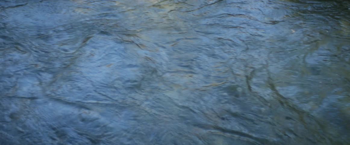 Close up view of a river is displayed during midday