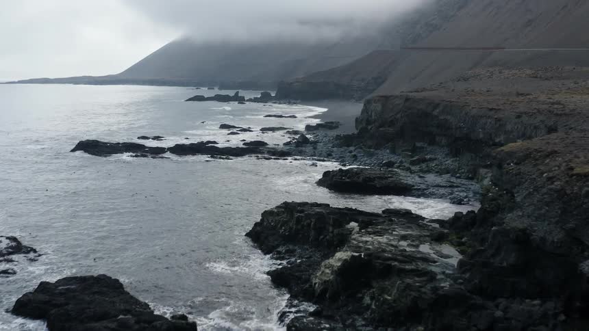 Aerial view of black sand beach and coast next to the ocean