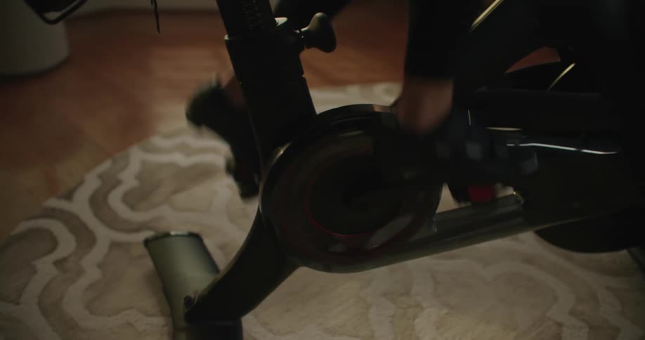 A woman riding a stationary bike on a living room rug