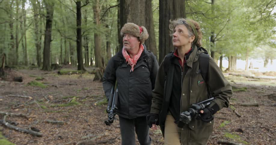Two people walk in the woods with tripods