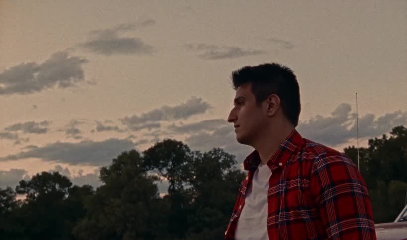 A man stands in a treelined meadow near a car while gazing out into the distance at dusk